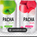 pacha